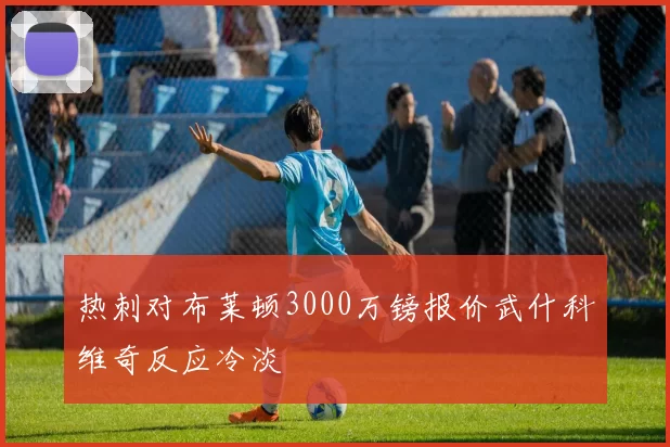 热刺对布莱顿3000万镑报价武什科维奇反应冷淡